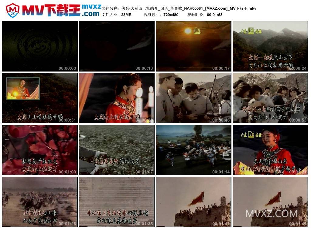 佚名-大别山上杜鹃开_国语_革命歌_NAH00081